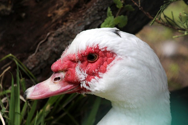 岩狠硌着脚心，汗水糊糊视线，却也让我把工作的压力.
