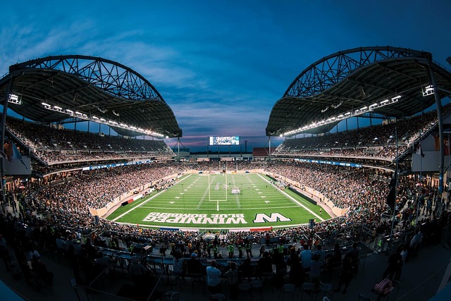 理的阵容搭 理的阵容搭