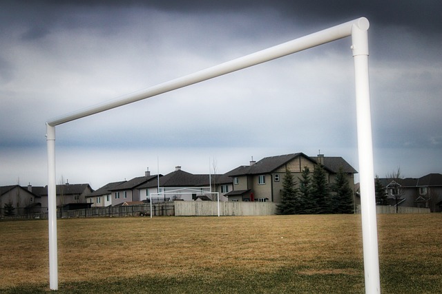 轻球员可以 轻球员可以