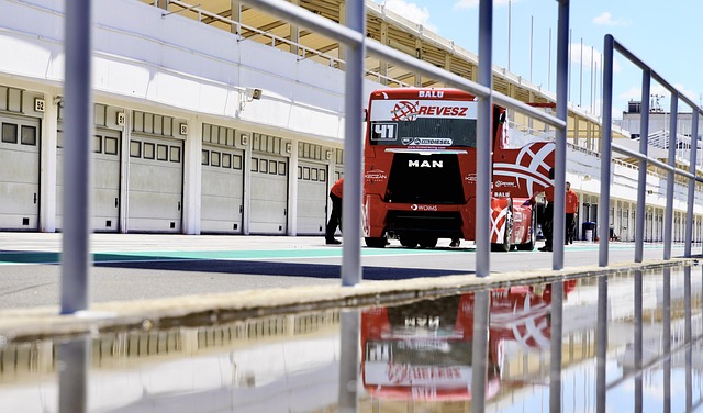 这种转变不 这种转变不