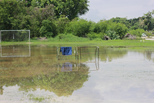 罗马或成其 罗马或成其